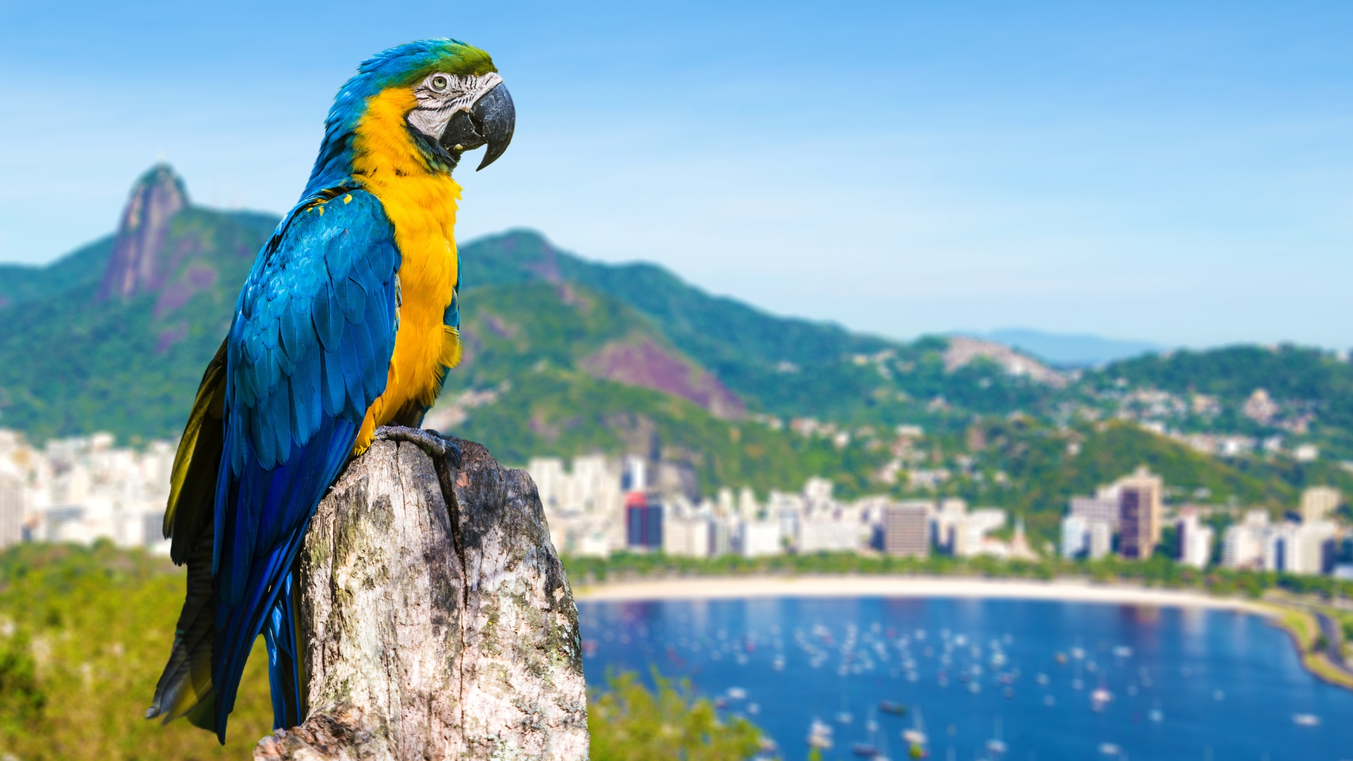 Rio de Janeiro · Brazil