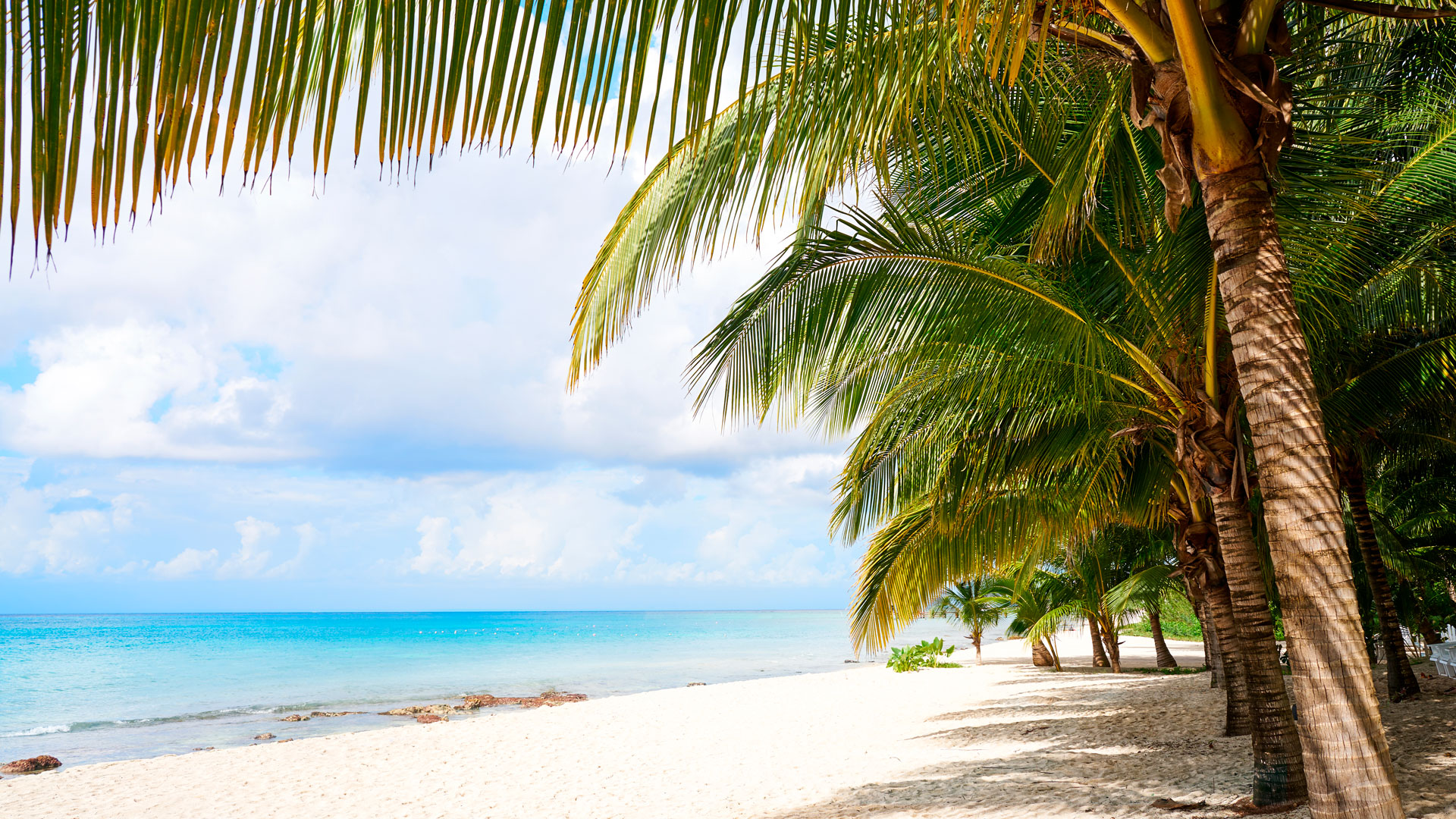 Cozumel · México