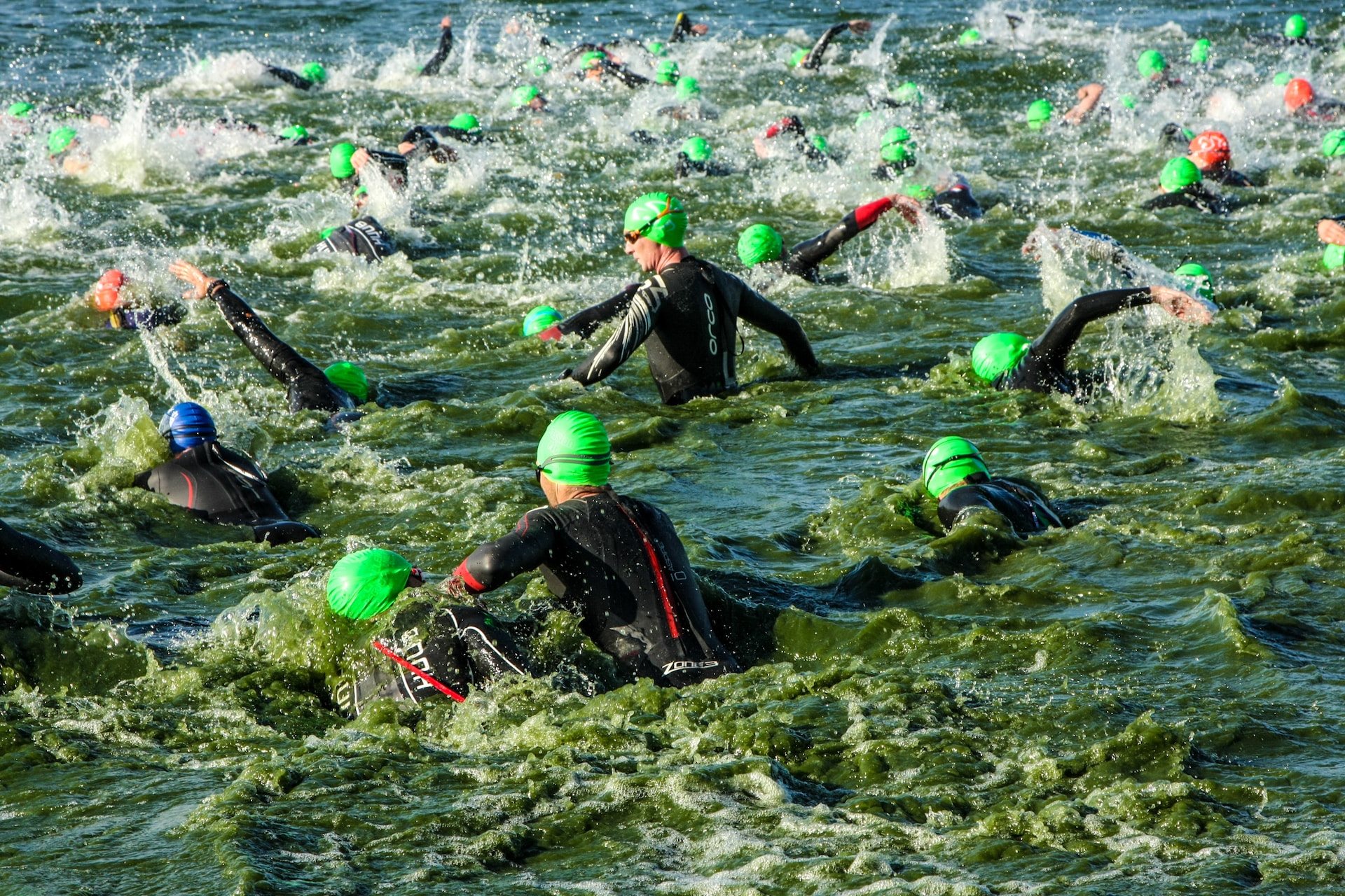 the image shows a swimming triathlon cross competition