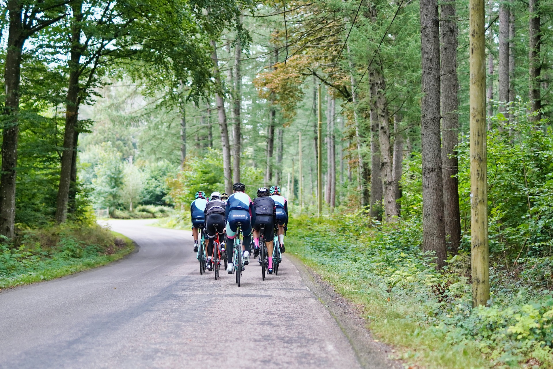 the image shows a group of professional athletes doing a cycling triathlon