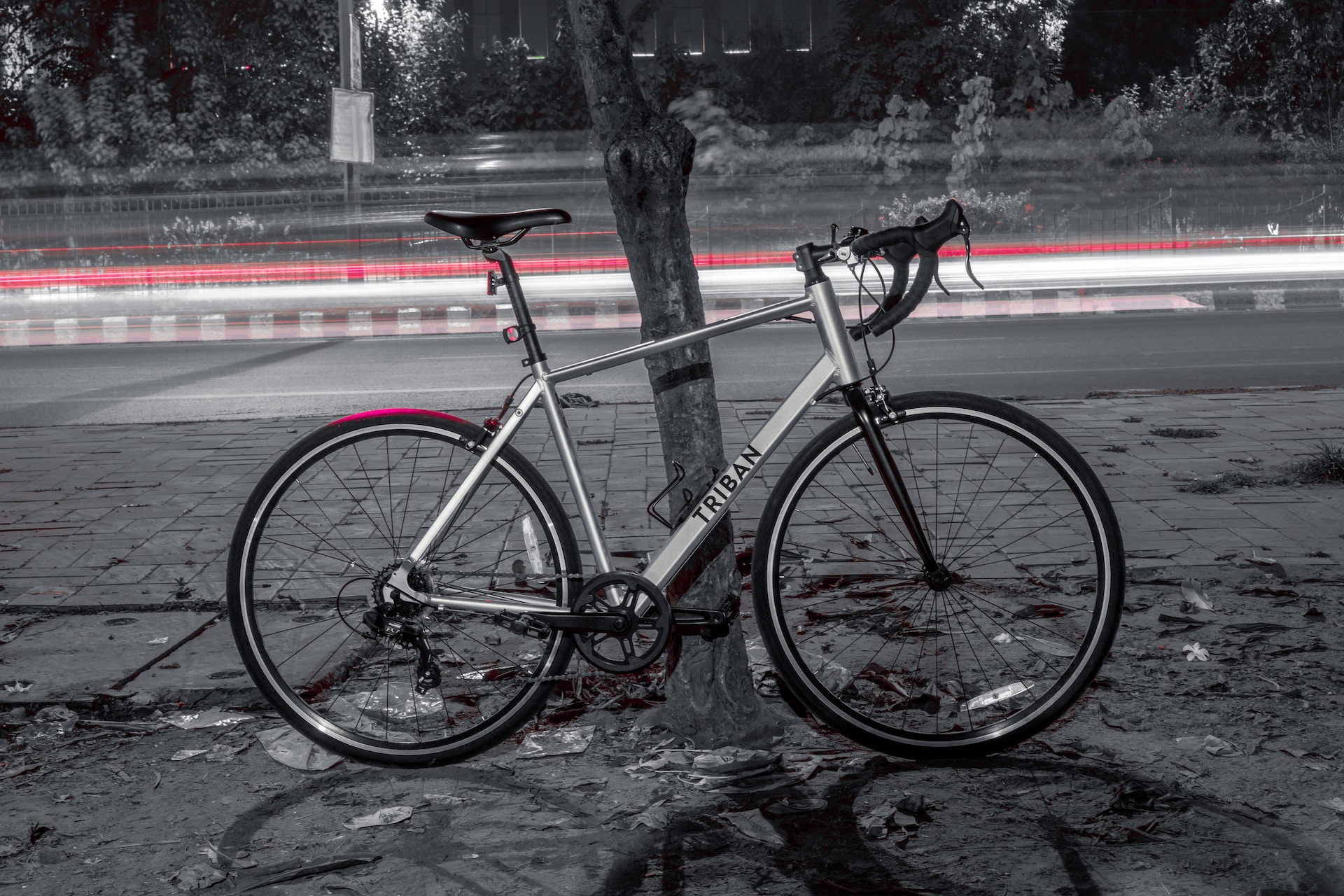 the image shows a bicycle leaned on a tree