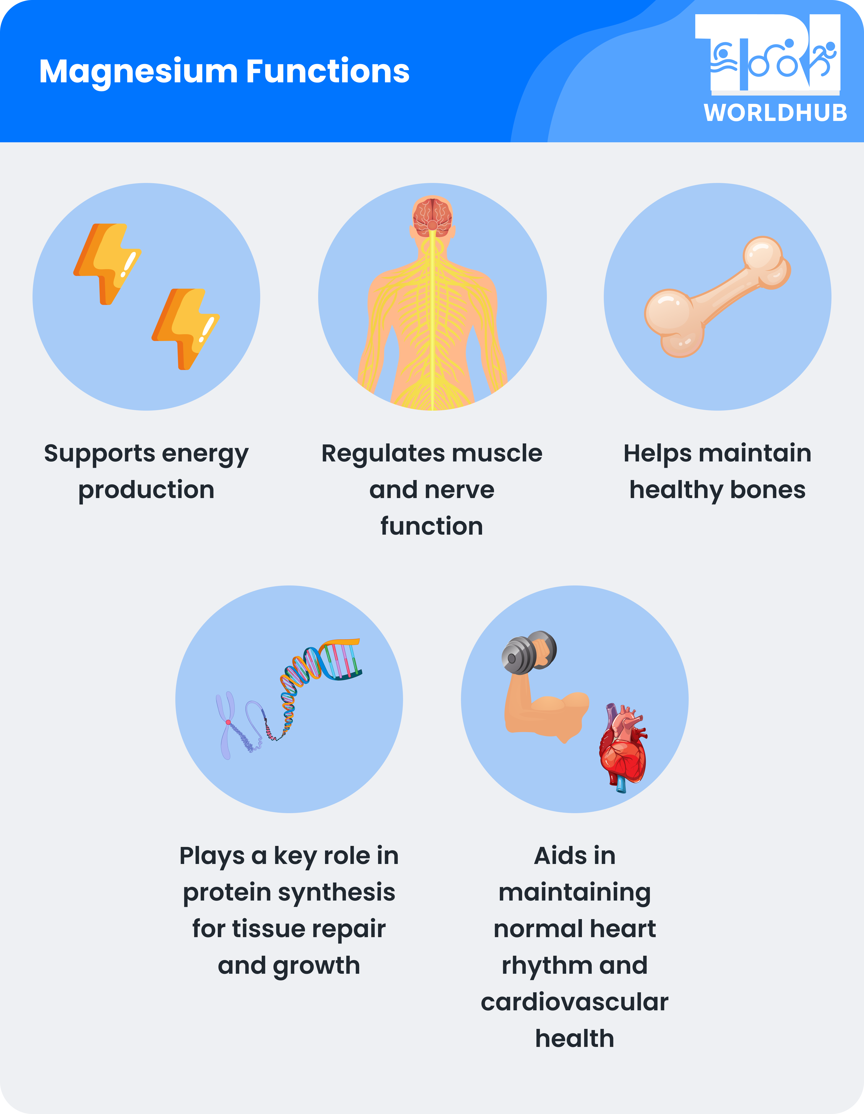 Functions of Magnesium