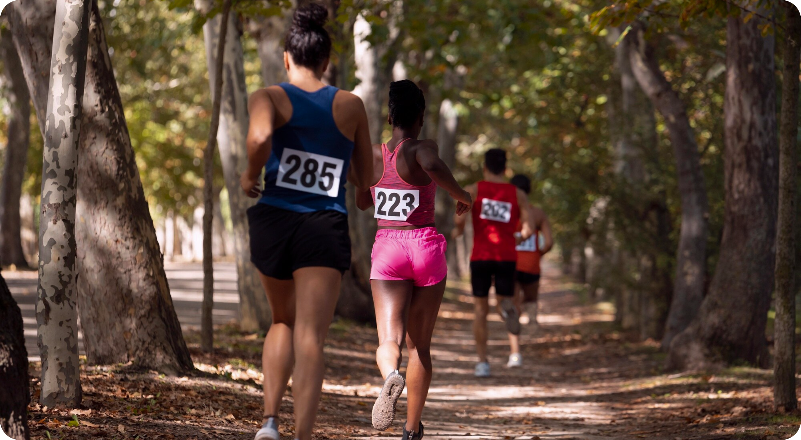 Race Plan Generator for Peak Performace - TriWorldHub